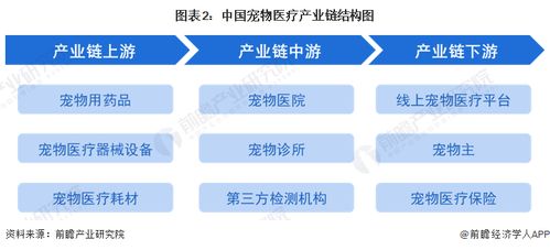 預見2023 中國寵物醫療行業全景圖譜