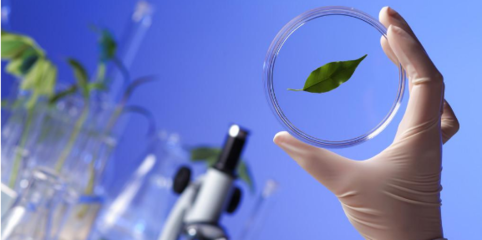 生物學領域的高影響力SCI雜志推薦與醫學研究發展概覽